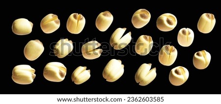 Lotus seeds isolated with clipping path, no shadow in black background, cooking ingredients