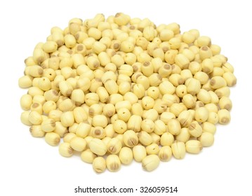 Lotus seeds Isolated on the white background
