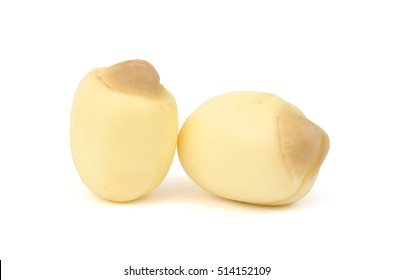 Lotus seeds Isolated on the white background