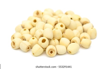 Lotus seeds Isolated on the white background