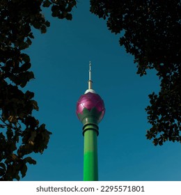 The lotus tower in a frame of trees