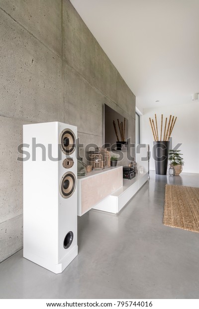 Loudspeaker Television Huge Vase Bamboo Sticks Stock Photo Edit