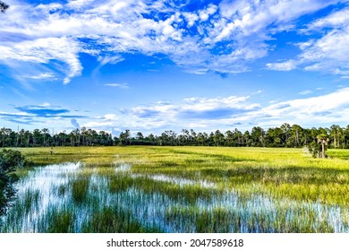 Louisiana marsh pond and grasses flooded - Shutterstock ID 2047589618