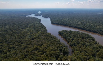 Louisiana Swamp Bayou River Bay Stock Photo 2208542695 | Shutterstock