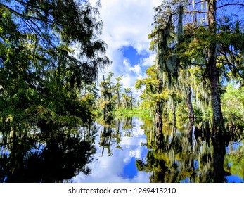 Louisiana Swamp Mirror