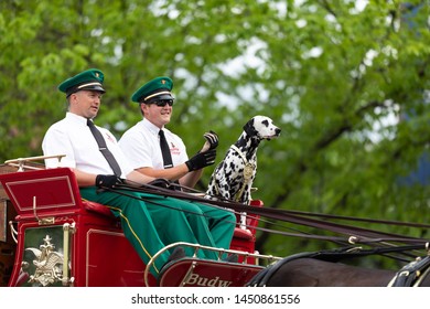 Louisville, Kentucky, USA - May 2, 2019: The Pegasus Parade, The Budweiser Clydesdales going down the street during the parade