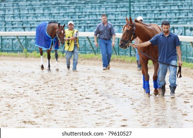 LOUISVILLE, KY - JUNE 18: Stephen Foster Day At Churchill Downs Horse Race Track June 18, 2011 In Louisville, KY. Horse Handlers Lead Horses To The Paddock For The Presentation Academy Classic Race.