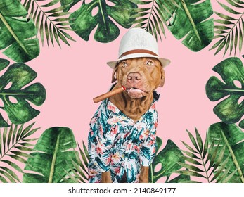 Lovable, pretty brown dog holding cigar in his mouth. Travel preparation and planning. Close-up, indoors. Studio photo. Concept of recreation, travel and tourism. Pets care