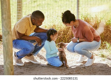 Love, black family and dog adoption at animal shelter, kennel or house. Care, support and choice of caring family choosing puppy to take home or foster for little girl bonding with cute pet in cage. - Powered by Shutterstock