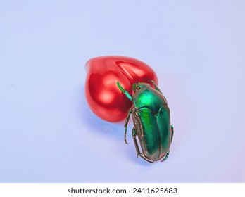 A Love Bug Green Beetle Climbing a Red Heart