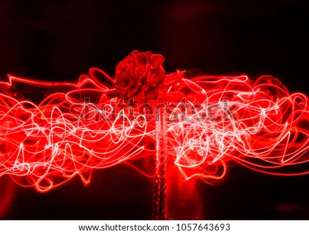 Love card concept: A glass rose in red bright lines of light. 