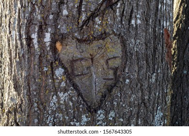 Love Carving Initials In A Tree