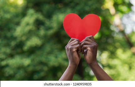 Love, charity and kindness concept, copy space. Black male hands holding red paper heart on green nature background.