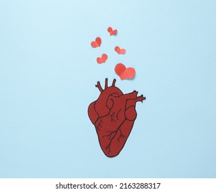 Love Concept. Anatomical Heart And Paper Cut Hearts On A Blue Background. Valentine's Day. 14th February