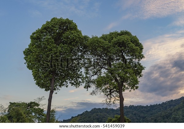 Love\
connection concept as two trees on divide mountain merging together\
as a married couple or dating shaped as heart as a romance metaphor\
for overcoming obstacles in a\
relationship.