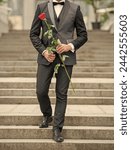 love day concept. cropped view of tuxedo man with love rose. flower gift for love day