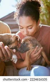 Love, Dog And Animal Shelter With A Black Woman Kissing A Puppy At A Rescue Pound For Adoption Or Care. Pet, Homeless And Foster With A Female Volunteer Adopting A Canine Companion To Rehome