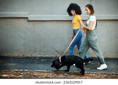 Love, happy and lesbian couple walking with dog in city street for exercise, bonding and fun. Lgbtq, animal and interracial young gay women in urban town road with pet puppy for fresh air together. - Powered by Shutterstock