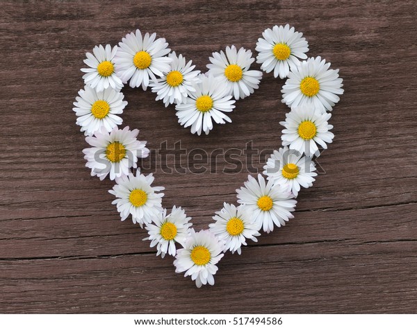 In love; Heart of tender daisy blossoms on brown wooden background; Wedding invitation; Birthday greetings