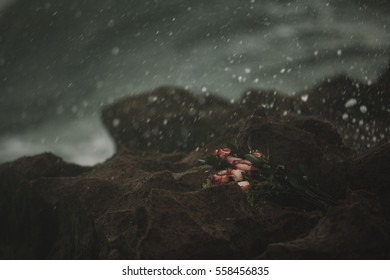 Love lost