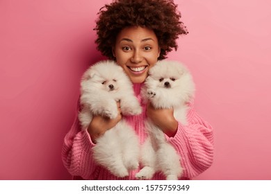 I love my dogs. Cheerful pleasant looking curly woman holds two pedigree puppies, smiles broadly, poses indoor, works as volunteer, finds shelter for stray animals, isolated on pink studio wall - Powered by Shutterstock