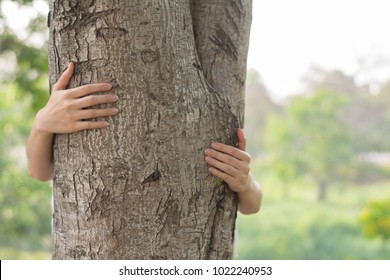 Love Nature Concept, Woman Give A Hug Behind Tree,Tree Hugging. Close-up Of Hands Hugging Tree.