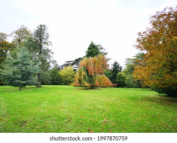 Love Nature - County Laois Ireland