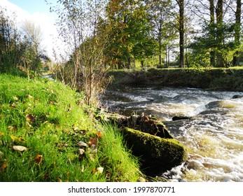 Love Nature - County Laois Ireland