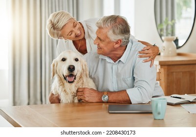 Love, pet and senior couple with dog relax at home bonding, playing and spend quality time together. Retirement life, smile and happy elderly man, woman or family enjoy peace with domestic animal - Powered by Shutterstock