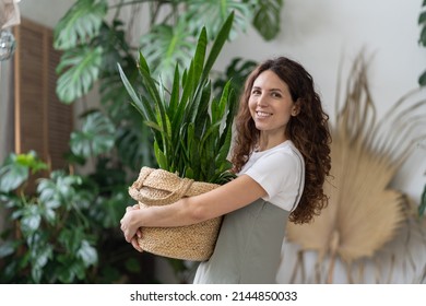 Love for plants. Joyful caucasian woman hold pot with green houseplant happy smiling. Positive florist create indoor garden with house flowers at home. Freelancer gardener small business owner girl - Powered by Shutterstock