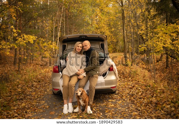 love
story with a dog in a car in autumn in the
forest