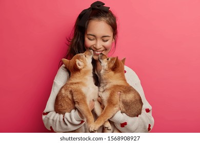 Love, tender, warm feeling and understanding without words. Cheerful korean woman receives kiss from two pedigree puppies, cannot imagine life without pets, has fun with animal best friends.