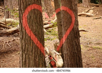 Love Tree