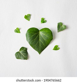 Love Valentines Concept. Heart Shape Leaves With Paper Card Note. Minimal Flat Lay Green Background. Design Valentine Or Woman's Day Template.