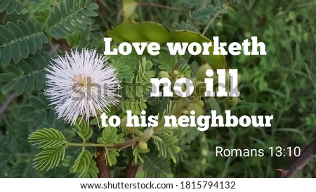 Love worketh no ill to his neighbour bible verse from romans 13:10 with grass flower and nature background. christian quote
