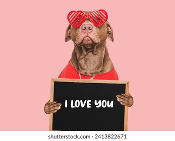 I Love You. Lovable dog and congratulatory inscription. Closeup, indoors. Studio shot. Congratulations for family, relatives, loved ones, friends and colleagues. Pet care concept
