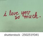 I love you so much famous sign 