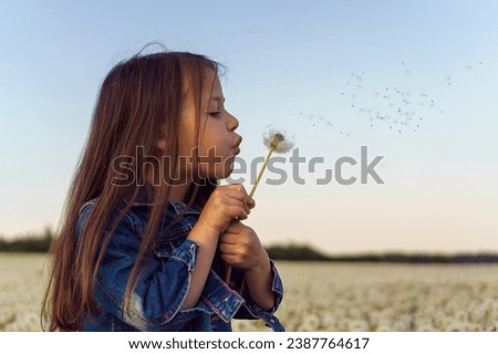 Loveable little girl in blue denim jacket carefully holding white dandelion in hands and blowing seeds of flower while walking in meadow. Tassels of fluffy plant flying through air over sky.