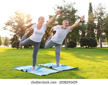 Lovely active fit elderly family couple practicing partner yoga outside in nature standing on rubber mat in lord of dance pose, smiling senior man and woman working out on green lawn in park