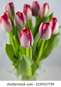 A Lovely Bouqet Of Red Roses On Green Stems