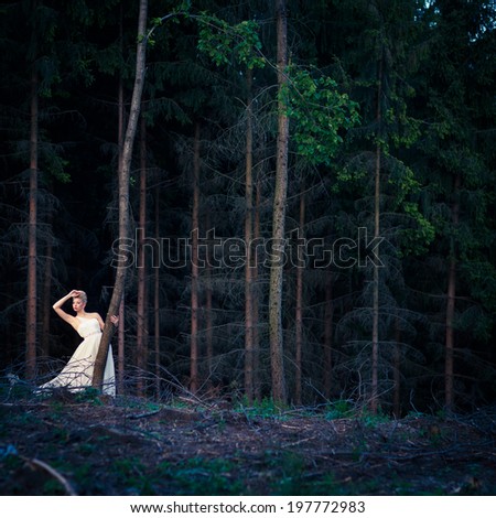 Similar – Mädchen in rotem Kleid im Wald