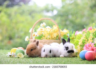 7,507 Rabbit eating flowers Images, Stock Photos & Vectors | Shutterstock