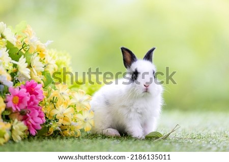 Lovely bunny easter fluffy baby rabbit with a basket full of colorful flowers and easter eggs on green garden nature background on warmimg day. Symbol of easter day festival.