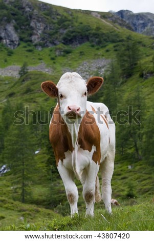 Similar – und du? Berge u. Gebirge