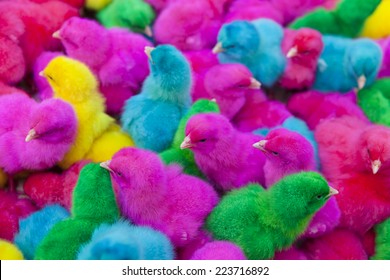 Lovely Colorful Bright Painted Chicks Green Stock Photo (Edit Now ...