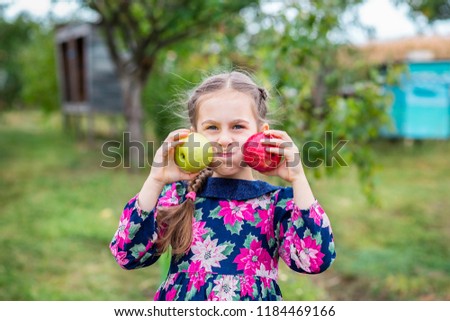 Similar – Image, Stock Photo Little girl looking apples in basket with harvest