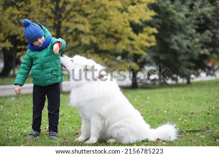 Lovely girl on a walk with a beautiful dog