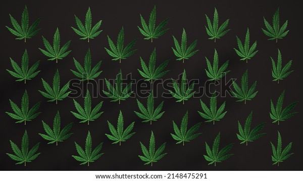 Lovely green Cannabis leaves\
Loop background leaf Realistic 3D Luma Matte loop Animation.\
Marijuana, Cannabis, recreational drugs. Leaf pattern black\
background