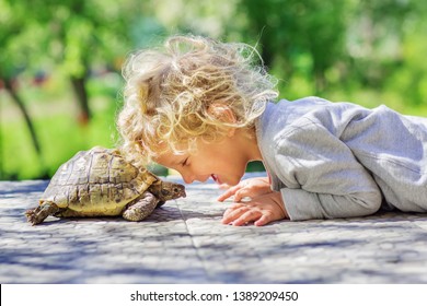 lieblicher glücklicher Junge mit Schildkröte