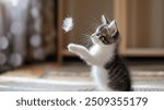 lovely kitten is playing with a feather in his house